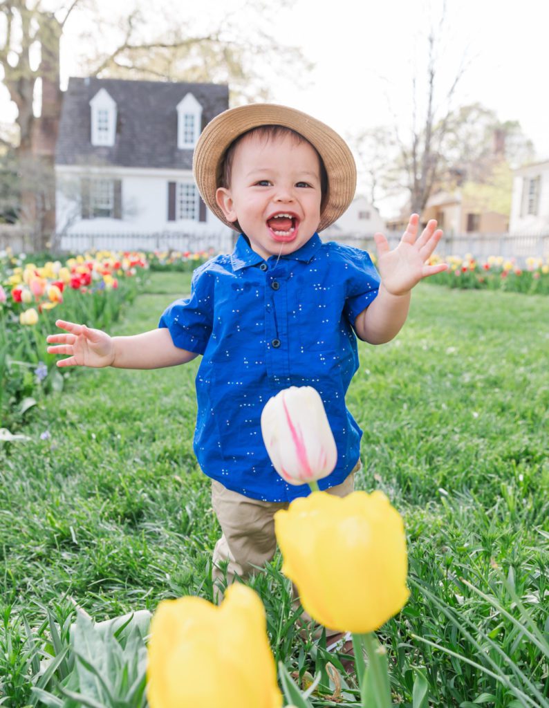 Colonial Williamsburg candid family photos in tulip gardens with yellow flowers by photographer Mattie Wezah