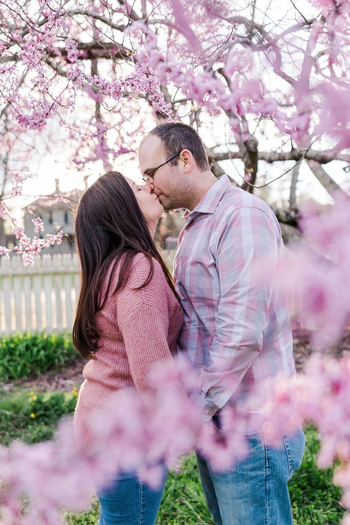 couple kissing in pink blooms at spring engagement photos in Colonial Williamsburg