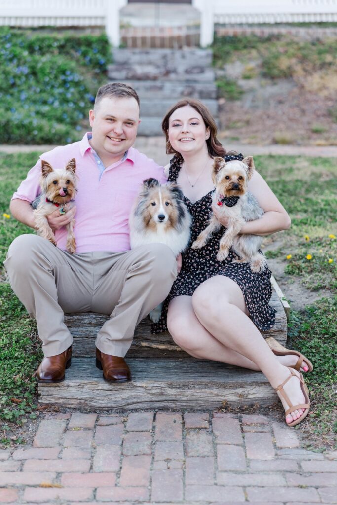 couple sitting on rustic wood with dogs for engagement photos in Colonial Williamsburg