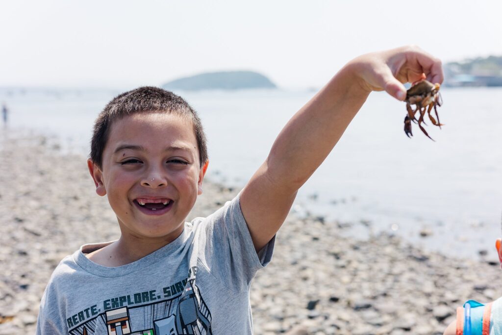 holding a crab on sand bar in Bar Harbor