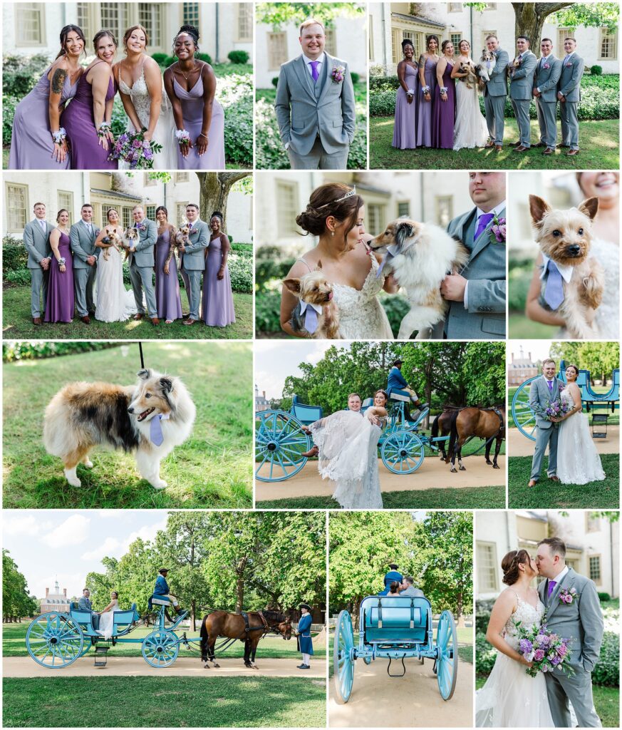 collage of wedding party and puppies (dogs) at summer wedding in Williamsburg, VA