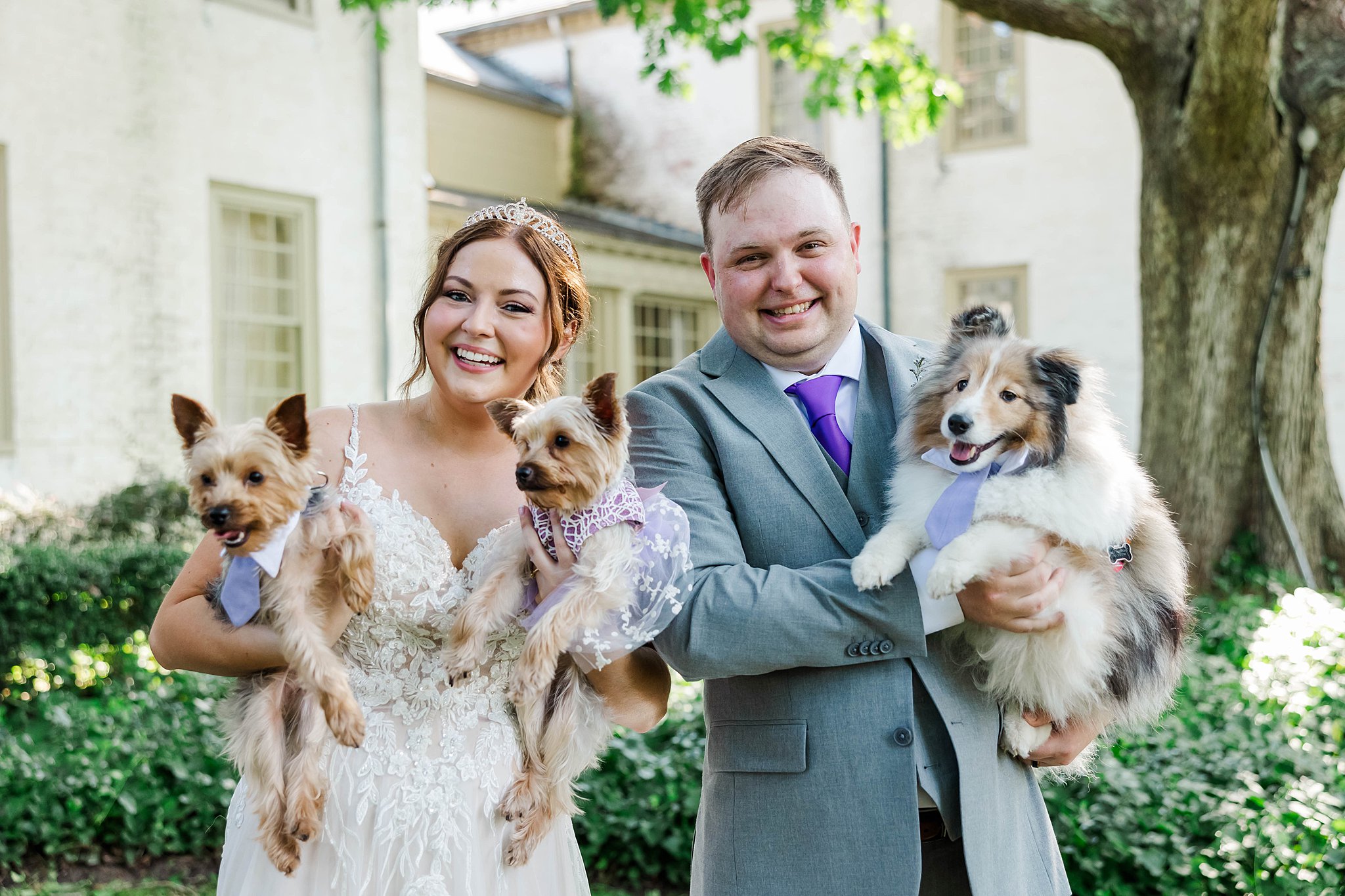 bride and groom with their three puppies (dogs) at their wedding