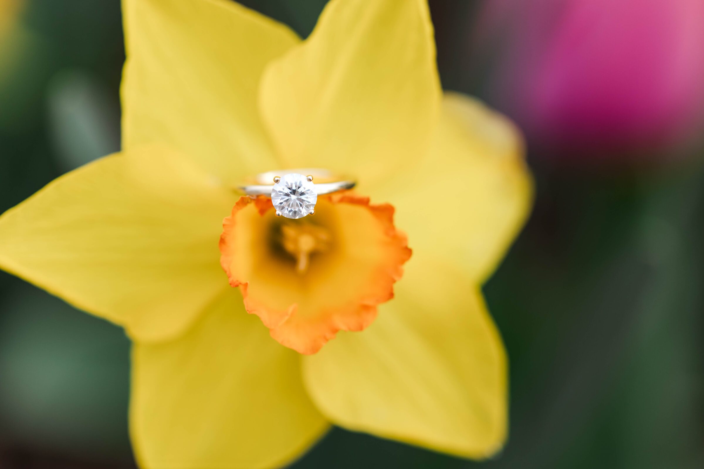 Image of ring in yellow flower - a lovely image to add to your wedding album!