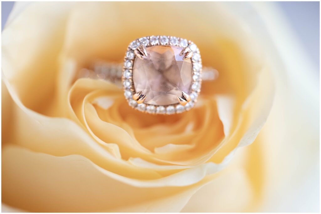 square ring inside a pale yellow rose 