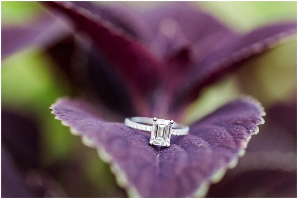 new idea for wedding ring photos - try placing the ring on a colorful leaf