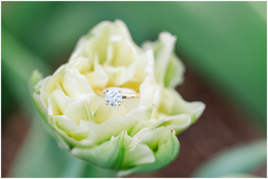 engagement ring glistening in white flower 