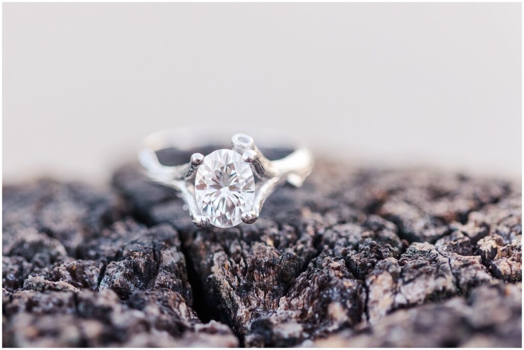 uniquely crafted ring on wood with branch details